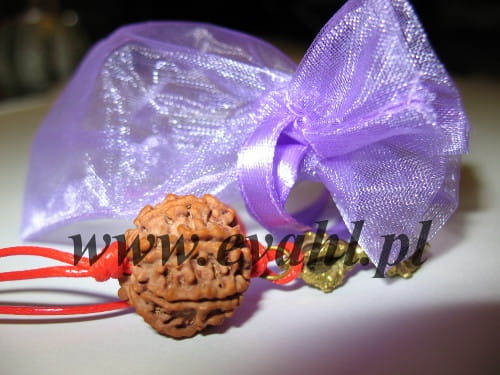 527ba5ed75ac66d79696c0daf282be43