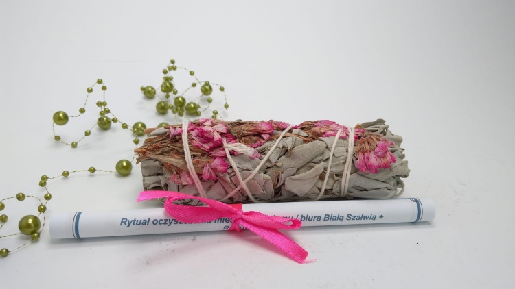 1. Biała Szałwia + Różowa Sinuata (2).jpg